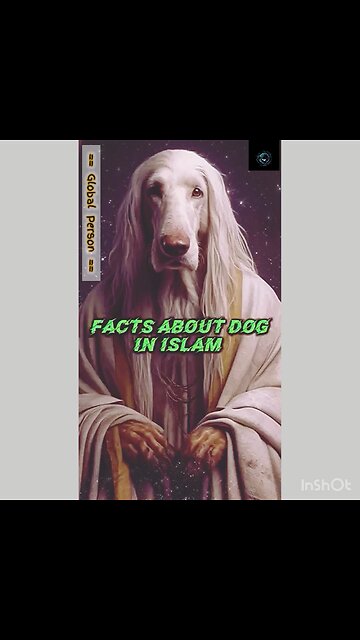 Facts About Dog in Islam