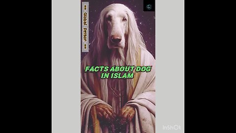 Facts About Dog in Islam