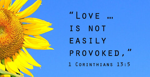 February 11 Devotional - Love is not easily provoked - Tiffany Root & Kirk VandGuchte