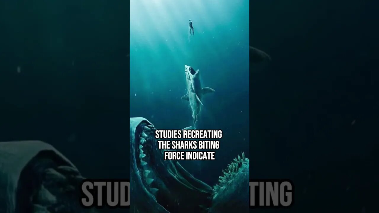 Megalodon