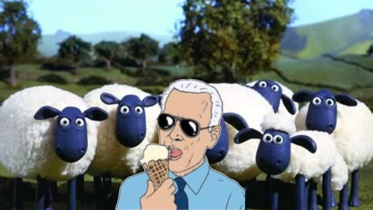 Media members creamed in their pants over Joe Biden revealing what ice cream flavor he ordered.