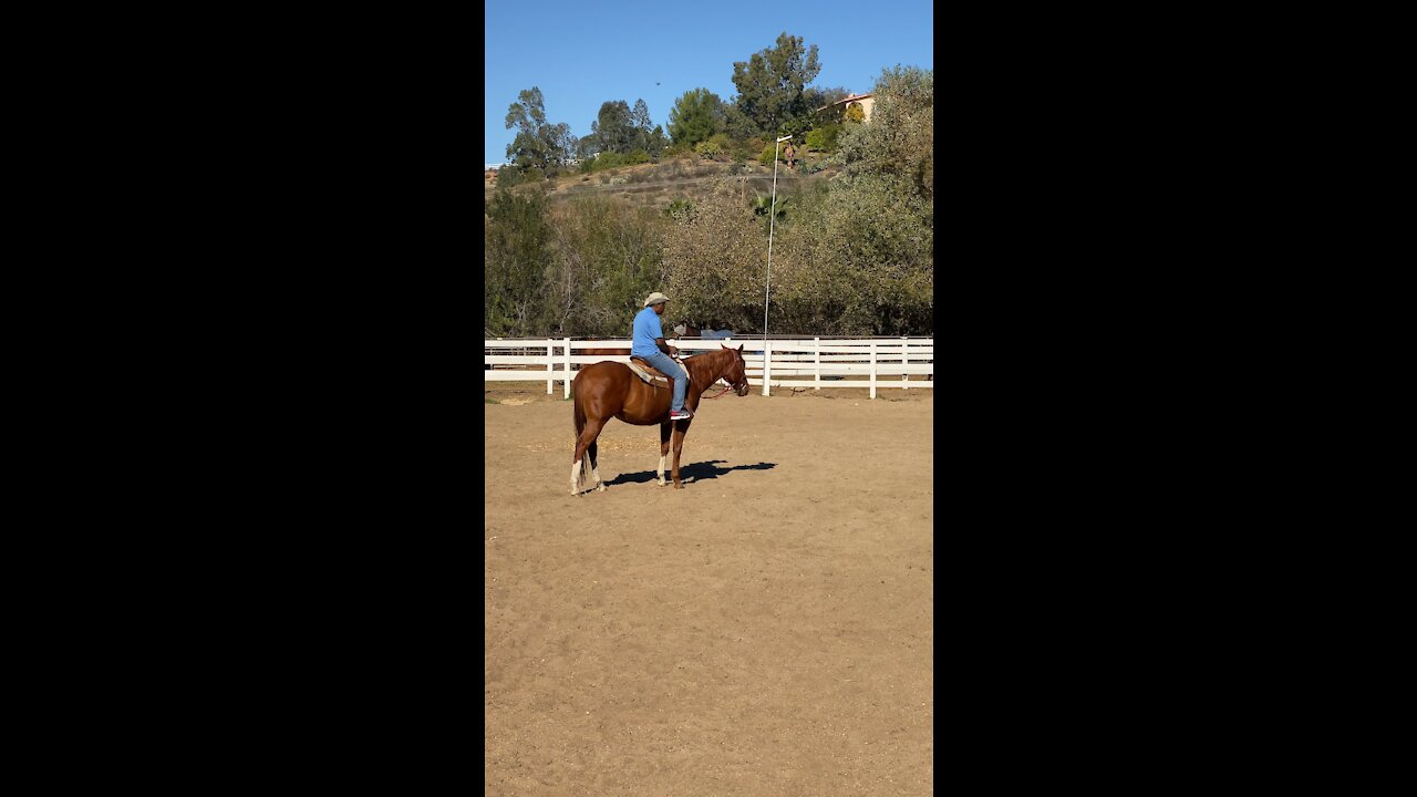 Horseback Riding today