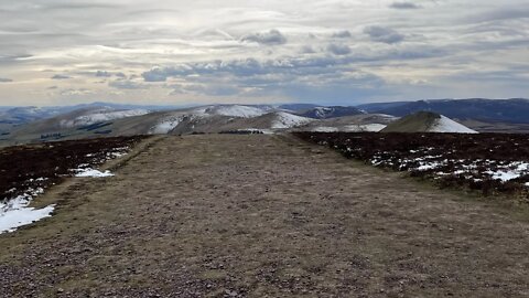 Scald Law - The Kips - Cap Law Plantation - Silverburn