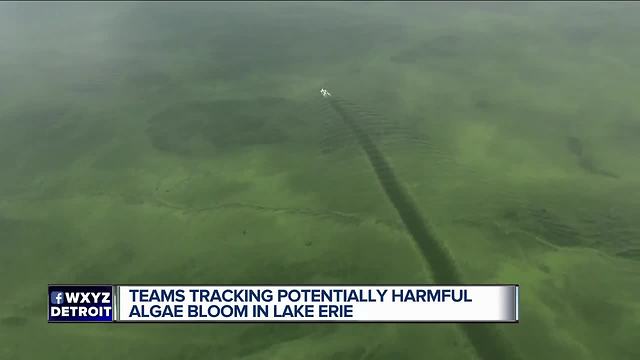 Teams tracking potentially harmful algae bloom in Lake Erie