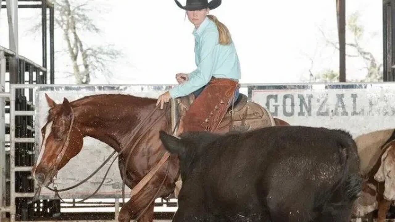Reagan Box for US Senate 2026 interviews with Stan Fitzgerald The Vet Voice , Georgia Horse Trainer