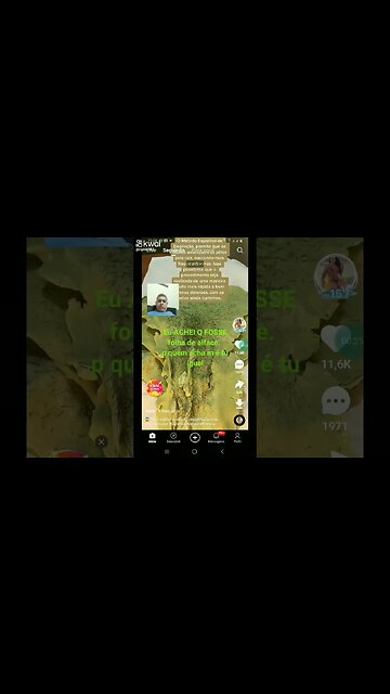 FOLHAS DE ALFACE COM CABELO.