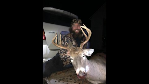 Halloween Whitetail