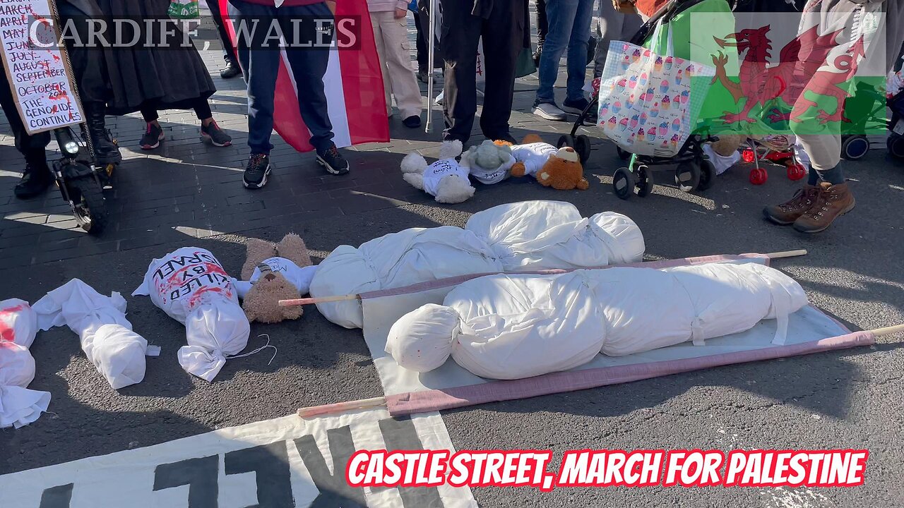 One Year, March For Palestine, Castle Street, Cardiff South Wales