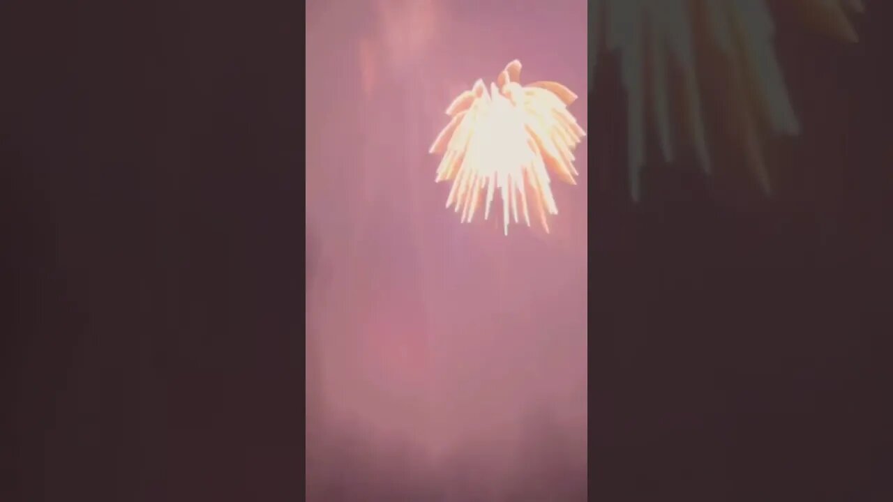 Amazing Firework Combo!! #firework #fireworksnight #4thofjuly