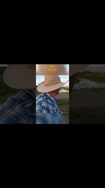 Western Wisdom: You Can Lead a Horse to Water, But... 🐴💦