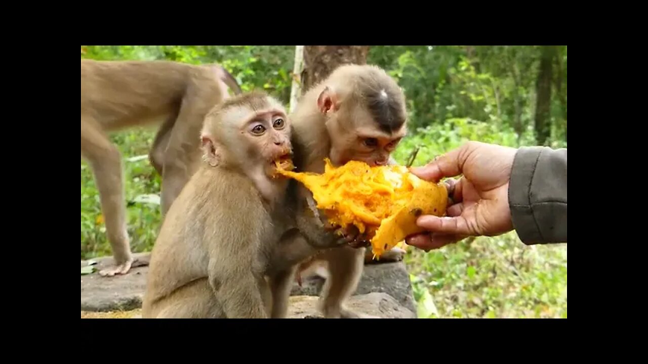 Pity Baby Ricky Cry Loudly Asking Ashley To Share Mango To Him