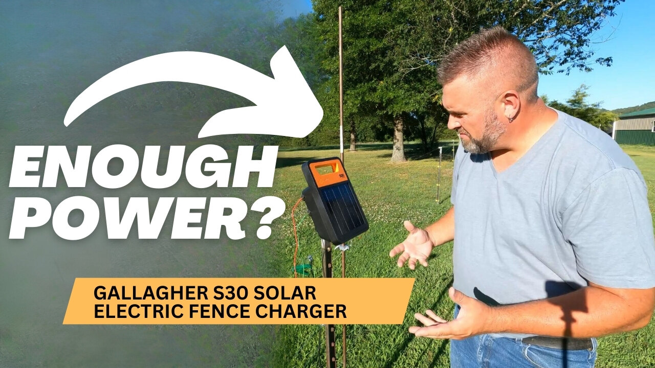 Amazing Benefits of the Gallagher S30 Solar Energizer