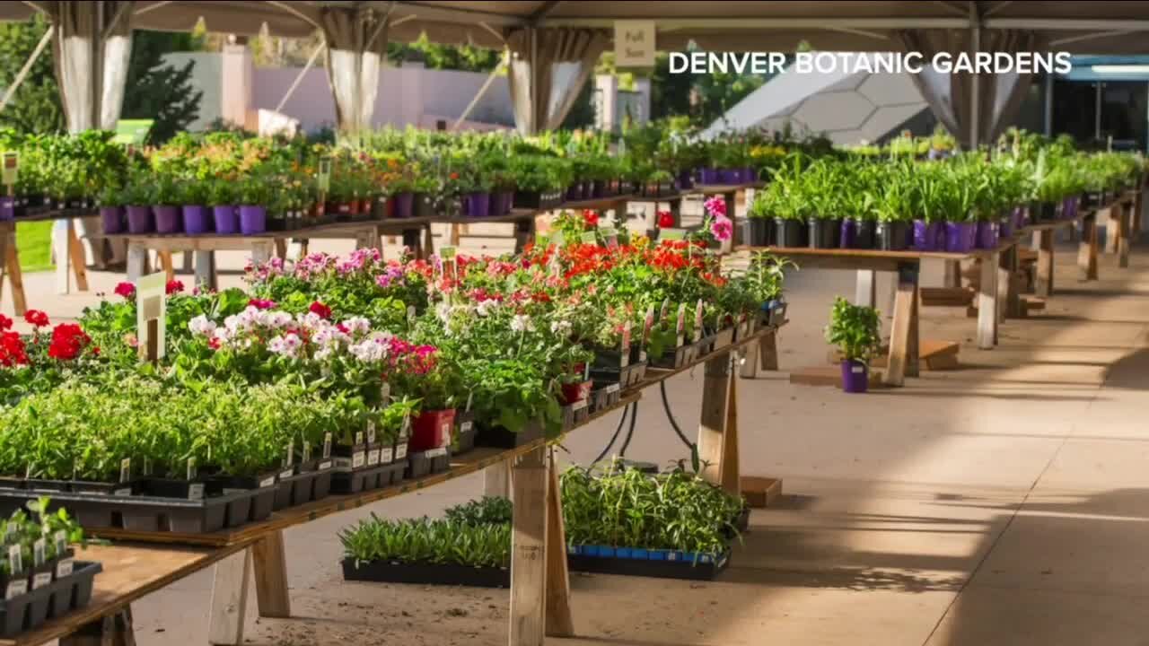 Botanic Gardens spring plant sale starts today