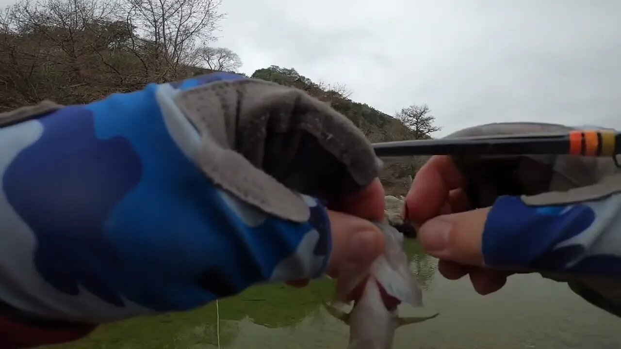 A Birthday Fly Fishing Outing with a 2wt Reddington Butterstick #flyfishing #fishing #fish #bass #it