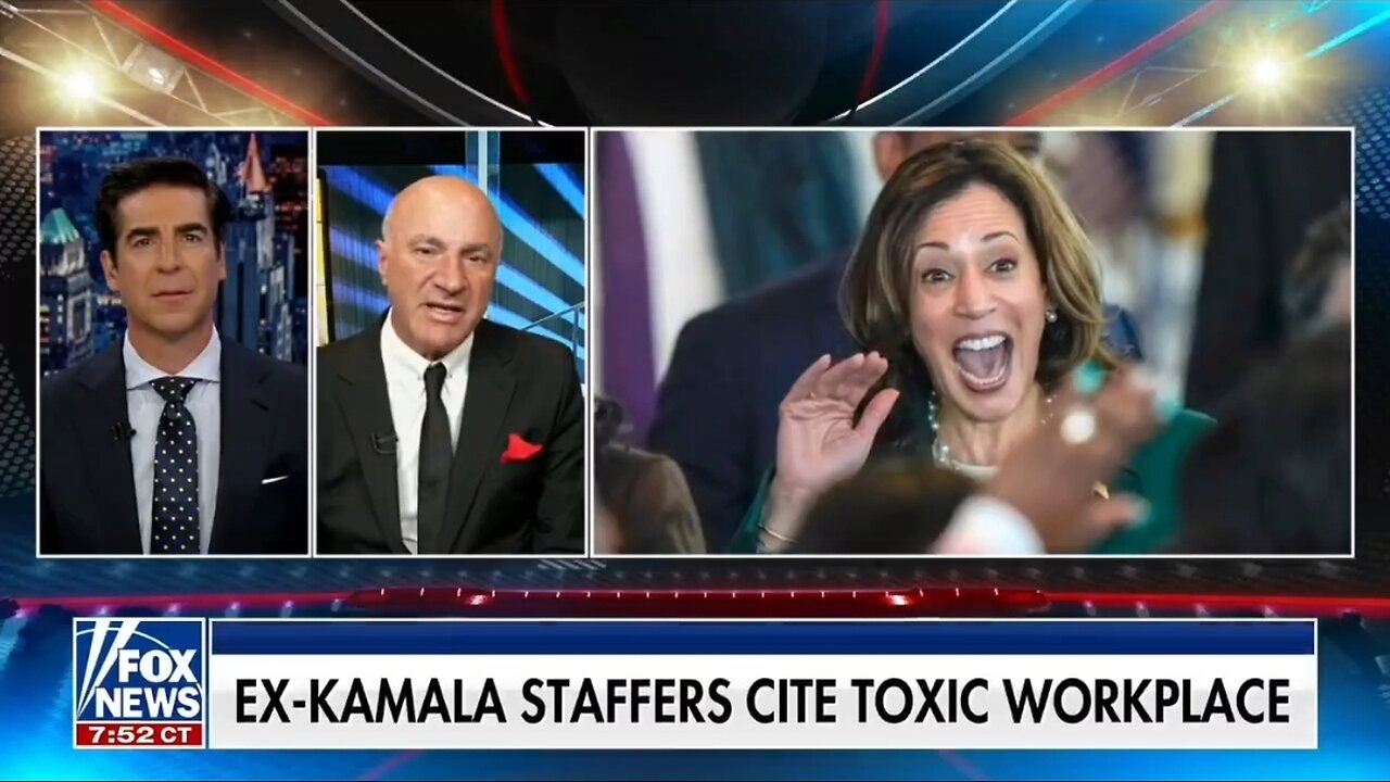 Kevin O'Leary: What Has Kamala Harris Actually Done?