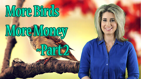 More Birds More Money Part 2