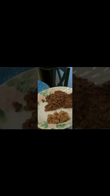 All 3 cats choose THIS over their typical canned food #shorts