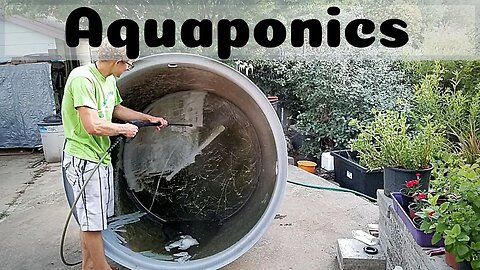 Aquaponic system Renovation part 9