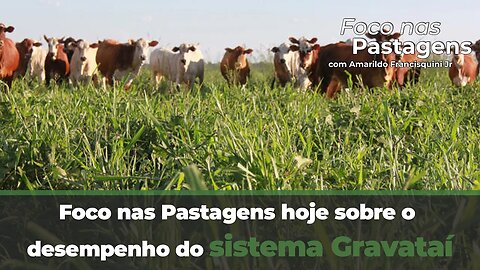 Foco nas Pastagens hoje sobre o desempenho do sistema Gravataí