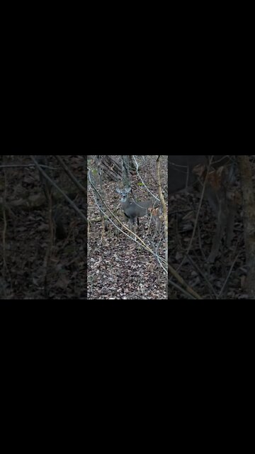 Somebody's Watchin Me... #whoteewho