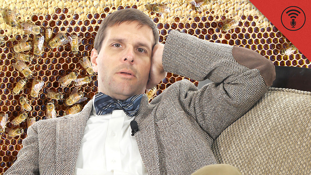 Stuff You Should Know: Don't Be Dumb: All About Bee Vomit, AKA Honey
