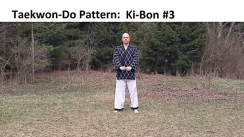 Baehr Taekwondo: Pattern 03 - Ki-Bon - 3 (2024-04-14) - Final