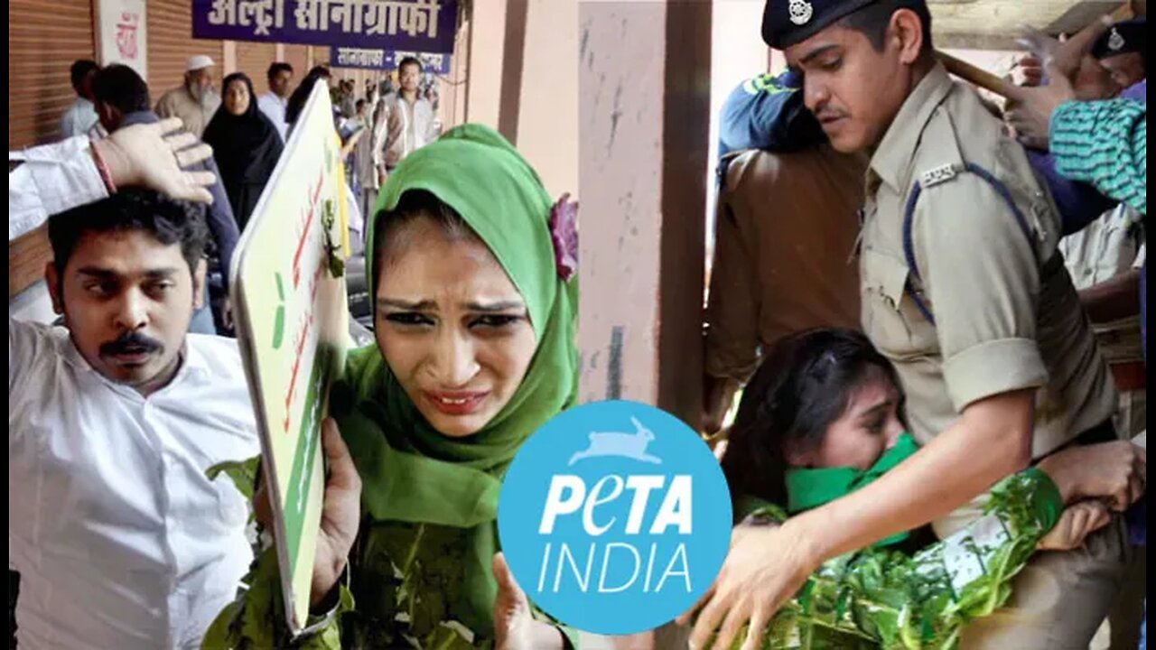 Zionist-run, Zionist-funded PETA mocks Islam during Eid