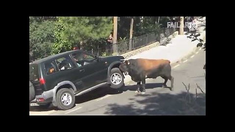 Funny Animal Video 😂🤣🤣 Short