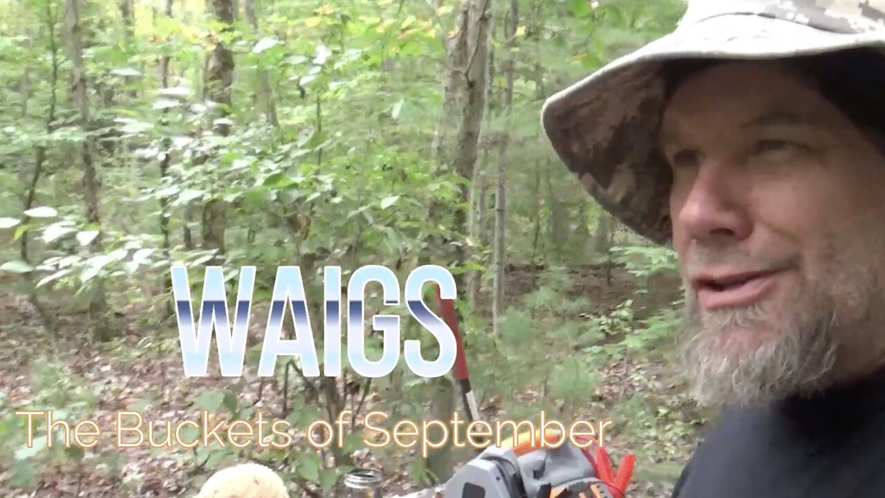 WAIGS The Buckets of September