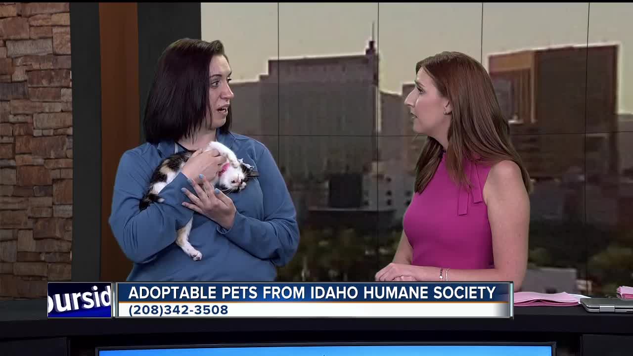 Idaho Humane Society: Tilda