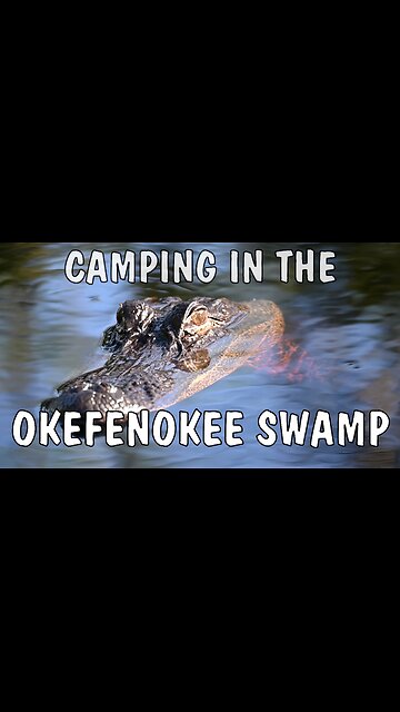 Camping inside the Okefenokee Swamp