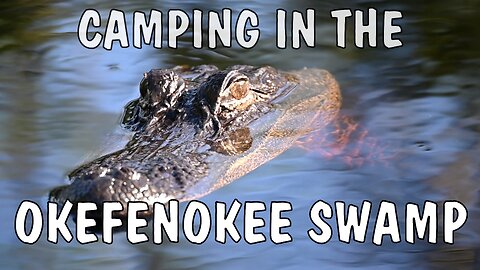 Camping inside the Okefenokee Swamp