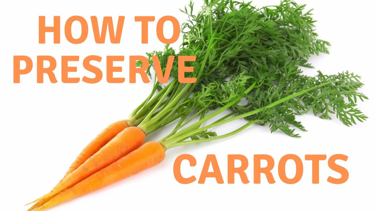 How to Preserve Carrots & Carrot Greens