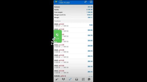 291$ to 1800$ profit