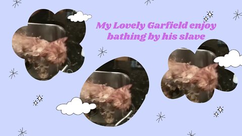 My Lovely Garfield love bathing by his slave