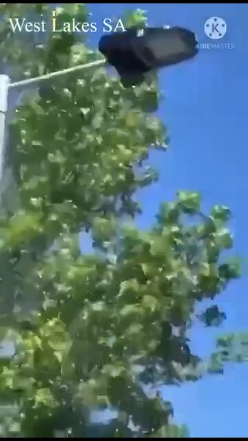 Luzes LED alteram os nossos cromossomos mitocôndriais?