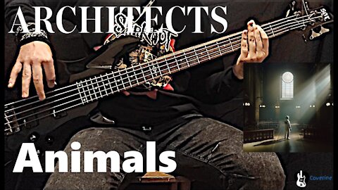 Architects - Animals Bass Cover (Tabs)