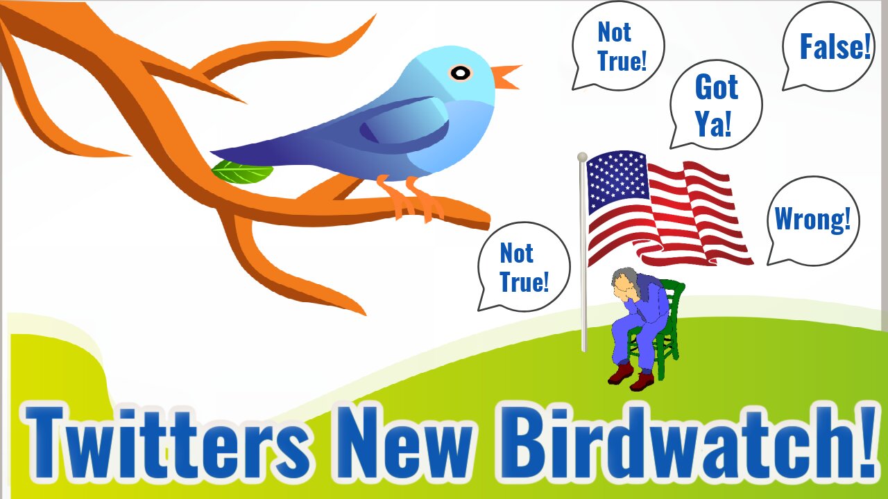 Twitter Unleashes Bird Watch! Look Out, You will Be Turned In!