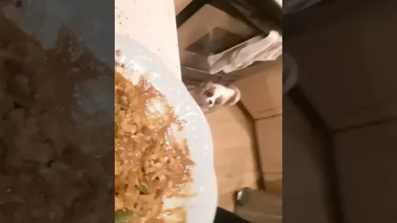 Chicken mahkni