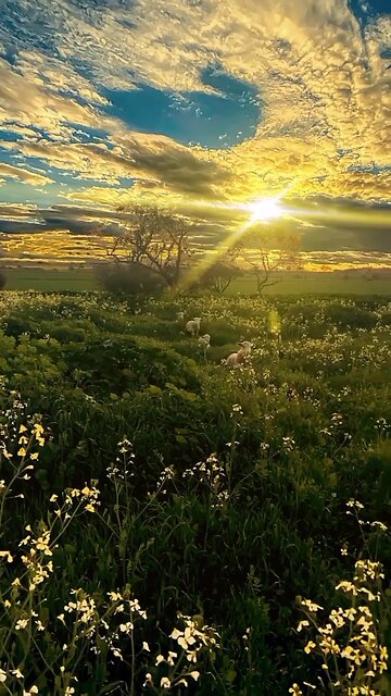 A truly captivating video experience that warrants your viewing 😍