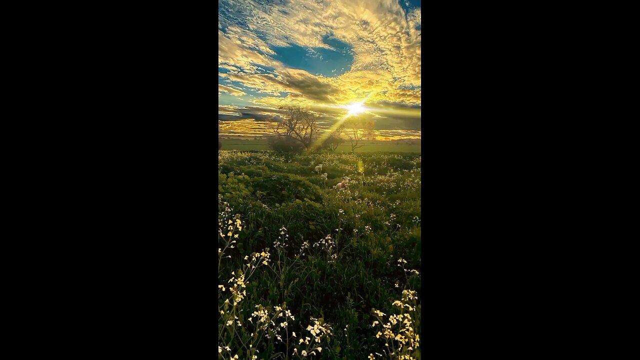 A truly captivating video experience that warrants your viewing 😍