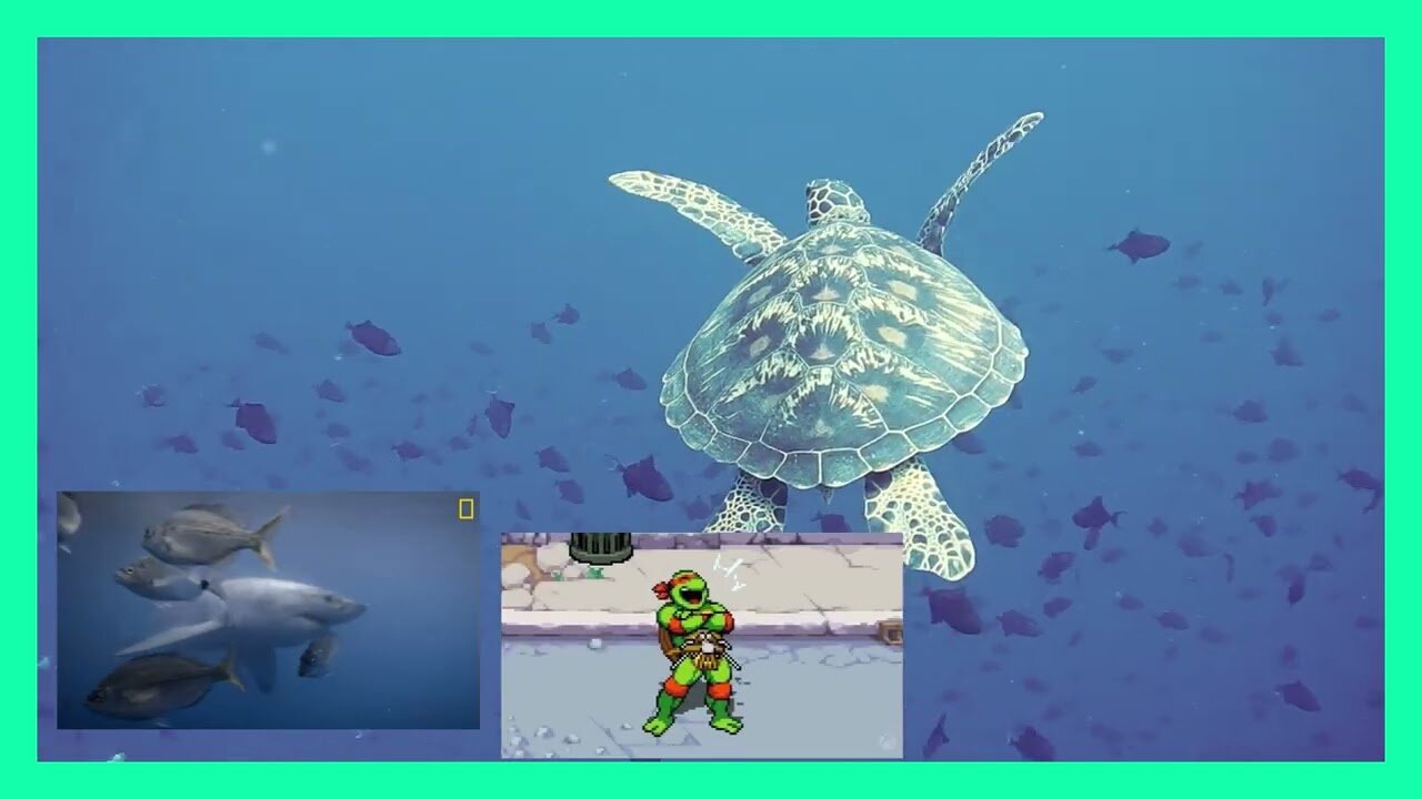 Turtles and silly fun