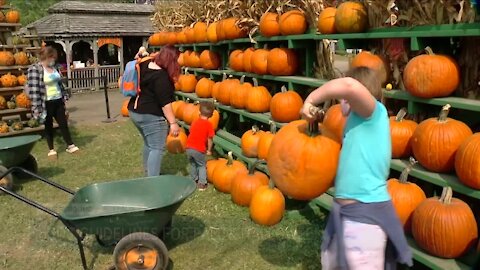 CDC issues guidelines for fall and Halloween safety