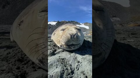 most amazing videos
