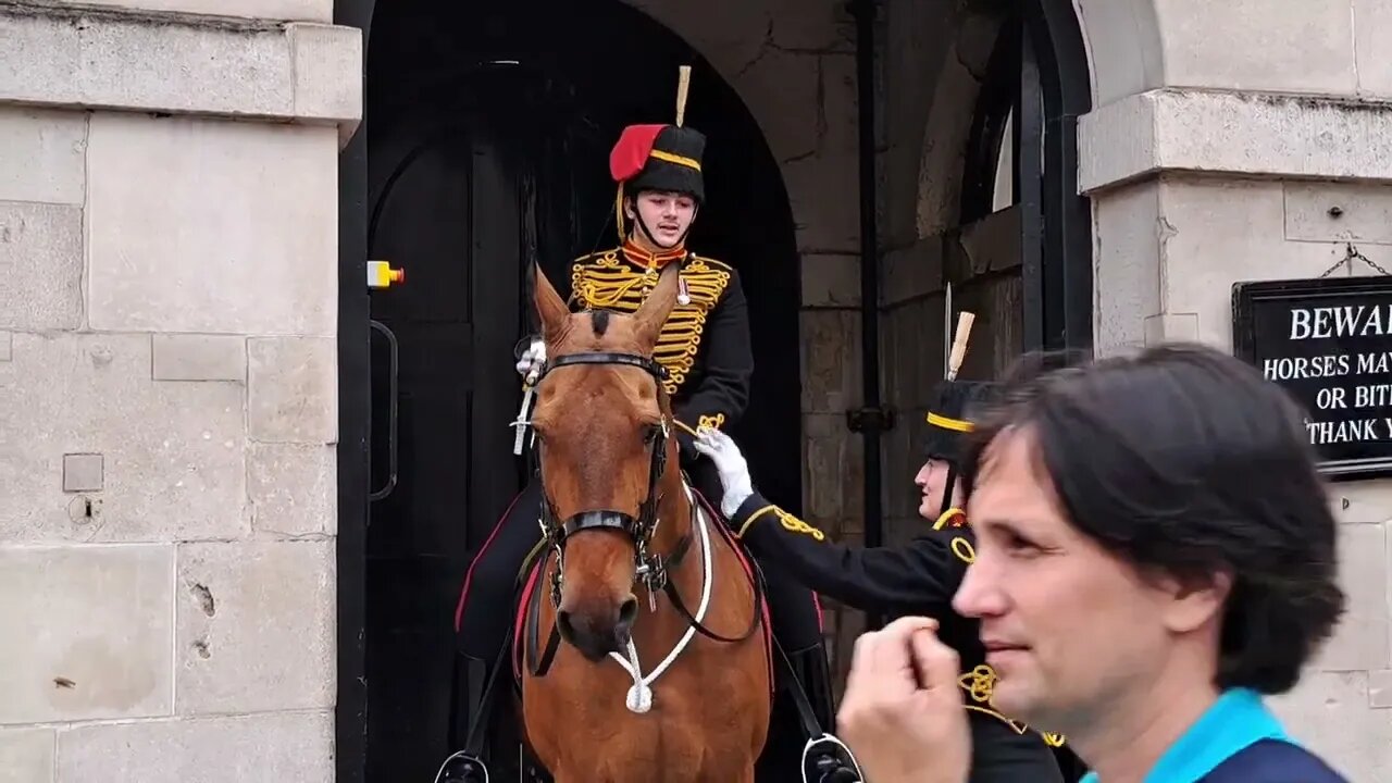 Kings guard gets a nip on the hand #horseguardsparade
