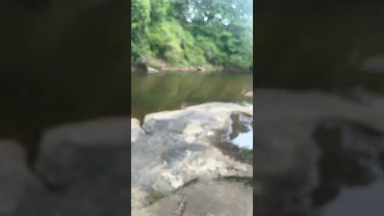 Good afternoon and happy Thursday! Fishing at the creek. #fishing #outdoors #nature