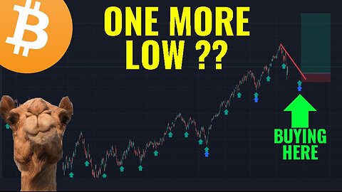 INVESTORS ARE GETTING EXCITED LATE IN A WEEKLY CYCLE