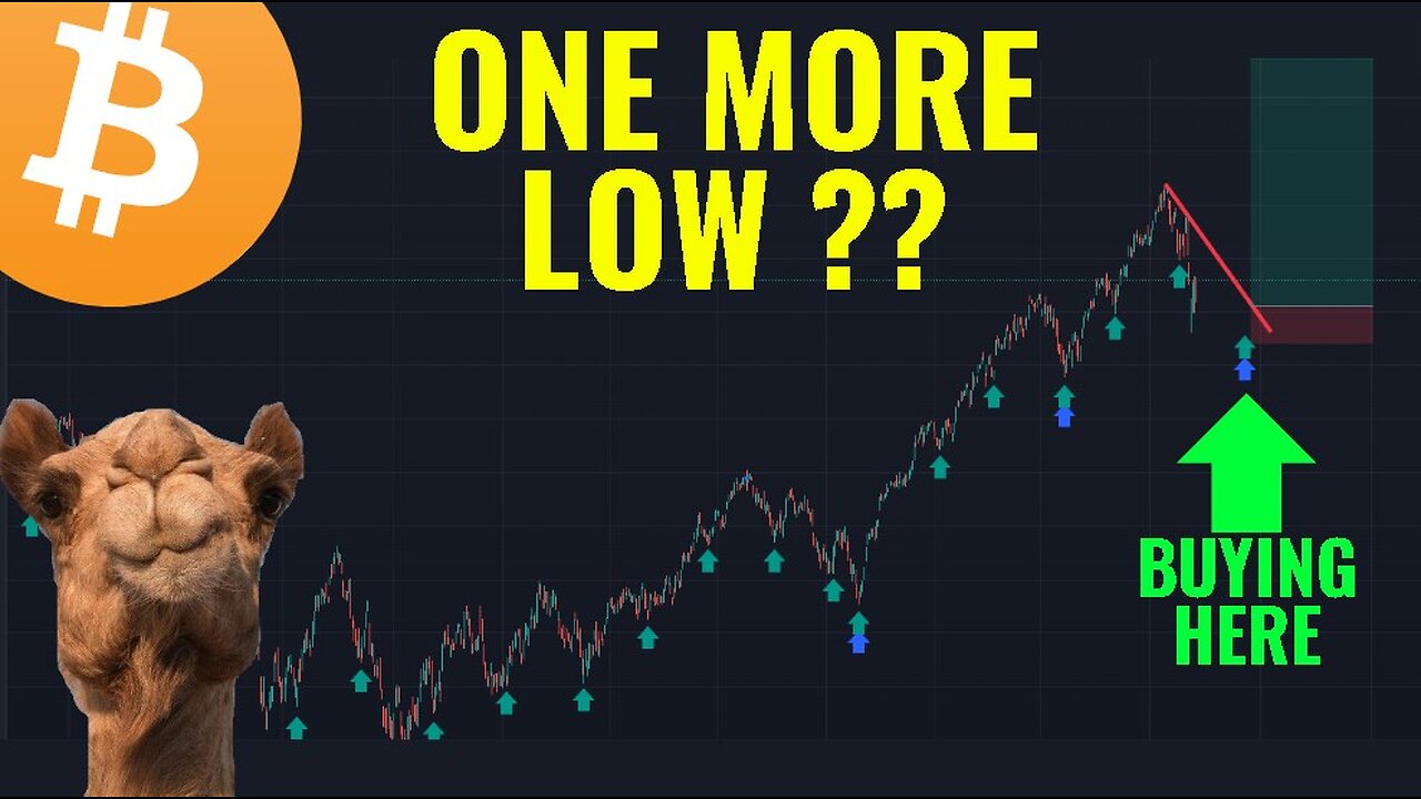 INVESTORS ARE GETTING EXCITED LATE IN A WEEKLY CYCLE