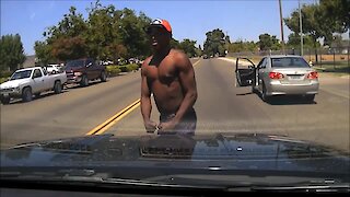 Car Thief Wisely Changes His Mind About Attacking Police Officer