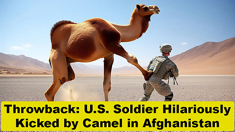 Throwback: U.S. Soldier Hilariously Kicked by Camel in Afghanistan 😂